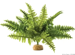 Exo Terra Rainforest Plant Boston Fern - Kunstplanten