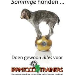 Farm Food Trainers Runderhart Rund - Hondensnacks