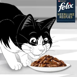 Felix Maaltijdzakjes Heerlijke Reepjes Vis Selectie Box - Kattenvoer - Zalm Tonijn Kabeljauw 12x85 g