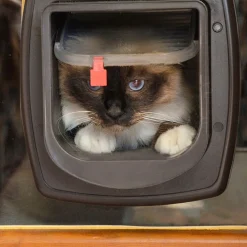 Ferplast Dierenluik Swing Microchip - Kattenluik - 22.5x16.2x25.2 cm Wit