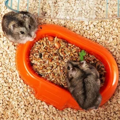 Ferplast Hamsterkooi Combi 1 - Dierenverblijf - 40.5x29.5x22.5 cm Wit