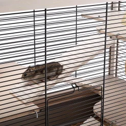 Ferplast Hamsterkooi Hamsterville - Dierenverblijf - 60x34x49 cm Houtkleur