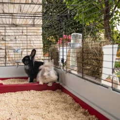 Ferplast Konijnenkooi Krolik 160 - Dierenverblijf - 162x60x50 cm Grijs Rood