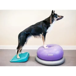 Fitpaws Balance Ramp - Hondenspeelgoed - Blauw
