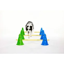 Fitpaws Canine Gym Dog Agility Kit - Hondenspeelgoed -