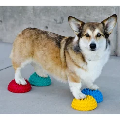 Fitpaws Paw Pods - Hondenspeelgoed - 4 stuks