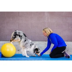 Fitpaws Peanut Trax - Hondenspeelgoed - 40 cm Geel