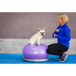 Fitpaws Trax Donut - Hondenspeelgoed - 55 cm Paars