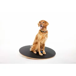 Fitpaws Wobble Board - Hondenspeelgoed