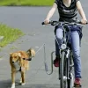 Flamingo Fietshouder Doggy Guide - Hondenfiets-accessoires - Zilver per stuk