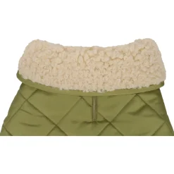 Flamingo Hondenjas Bonnie - Hondenkleding - 55 cm Groen