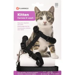 Flamingo Kittenharnas + Lijn Ziggi - Kattentuigje - Zwart 120cm 10mm