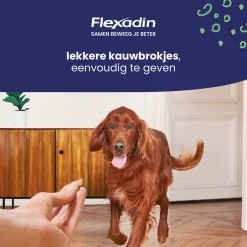 Flexadin Adult Dog - Chews - Gewricht-Supplement - 70 stuks