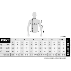 Fox Collection T - G/B - Shirts - Large