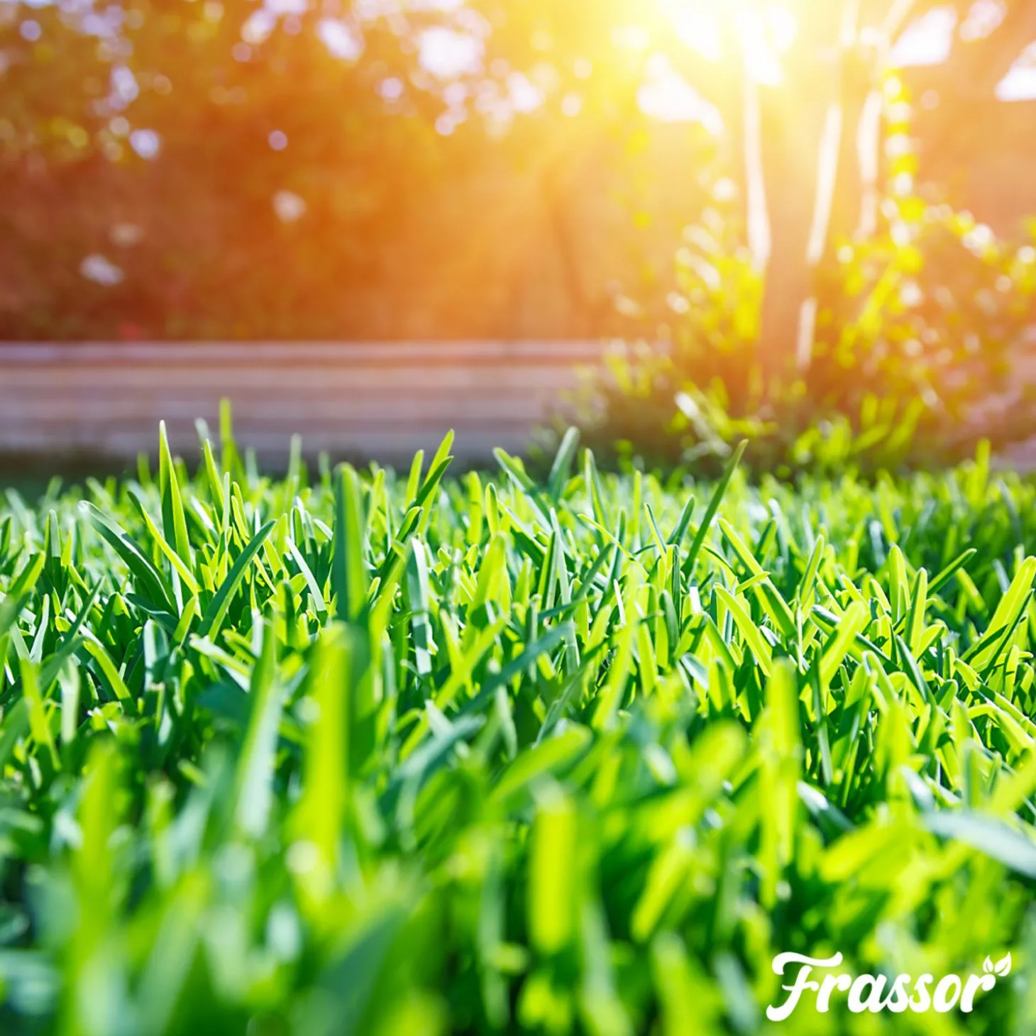 Frassor Insectenmest Gazon Frass - Gazonmeststoffen