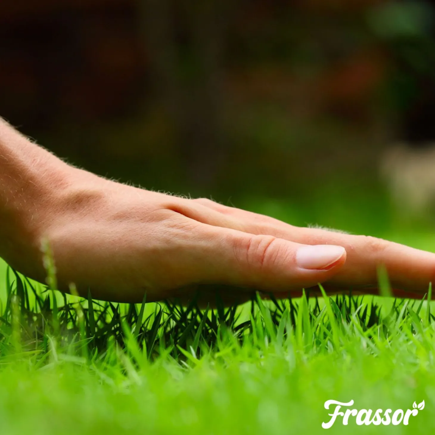 Frassor Insectenmest Gazon Frass - Gazonmeststoffen