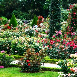 Frassor Insectenmest Tuin Frass - Siertuinmeststoffen