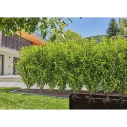 Gardena Startset Struik & Haag - Bewateringstoebehoor - 25 m