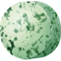 Gimcat Mint Tips - Kattensnack - Mint 40 g