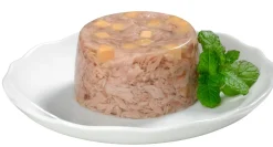 Gimcat Shinycat - In Jelly 70 g - Kattenvoer