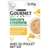Gourmet Nature's Creations Exquisite Puree - Kattensnack - Kip Pompoen 5x10 g