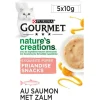 Gourmet Nature's Creations Exquisite Puree - Kattensnack - Zalm Wortel 5x10 g