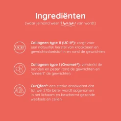 Greenfields Mobility+ - Voedingssupplement - 60 caps