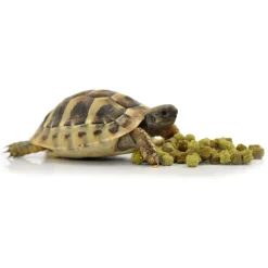 Habistat Landschildpad Voeding Fruit En Bloem - Voer - 200 g