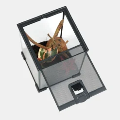 Habistat Ongewervelden Starter Kit - Terraria - 1 set