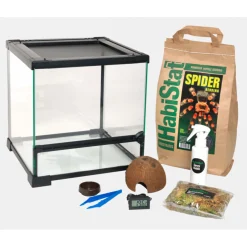Habistat Spinnen Starter Kit - Terraria - 1 set