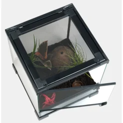 Habistat Spinnen Starter Kit - Terraria - 1 set