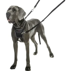 Halti No Pull Harnas Zwart - Hondenopvoeding