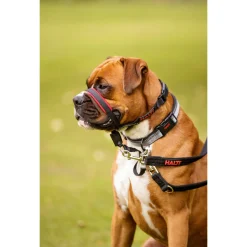 Halti Optifit Headcollar Zwart - Hondenopvoeding