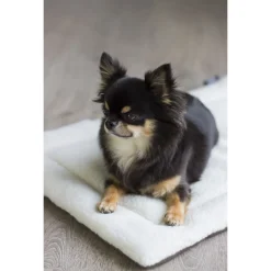 Happy-House Deken Katoen Teddy Taupe - Hondendeken