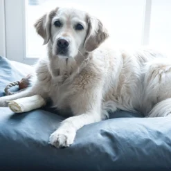 Hg Alle Nare Geurtjes Weg - Schoonmaakmiddelen - 0.5 l