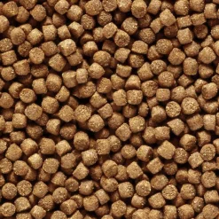 Hikari Cichlid Gold Medium Zinkend - Vissenvoer - 100 g