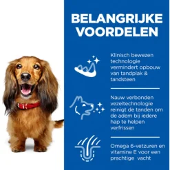 Hill's Canine Adult Oral Care Medium Kip - Hondenvoer