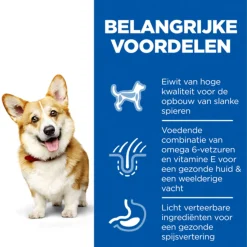 Hill's Canine Adult Small & Mini Kip - Hondenvoer