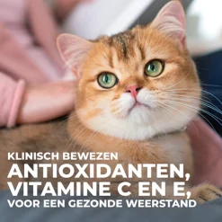 Hill's Feline Maaltijdzakjes Adult Sterilised - Kattenvoer - 12x85 g