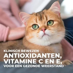 Hill's Feline Maaltijdzakjes Adult Sterilised - Kattenvoer - Kip Zalm 12x85 g