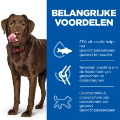Hill's Healthy Mobility Large Breed Kip&Rijst - Hondenvoer