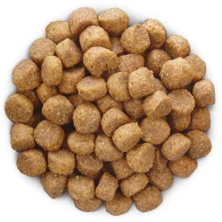 Hill's Prescription Diet B/D Ageing And Alertness Care Zak - Hondenvoer - Kip 12 kg