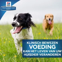 Hill's Prescription Diet B/D Ageing And Alertness Care Zak - Hondenvoer - Kip 12 kg