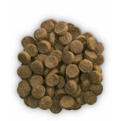 Hill's Prescription Diet C/D Urinary Stress Urinary Care Zak Kip - Kattenvoer