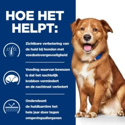 Hill's Prescription Diet Derm Complete Skin Care + Food Sensitivities Rijst&Ei - Hondenvoer