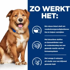 Hill's Prescription Diet Derm Complete Skin Care + Food Sensitivities Rijst&Ei - Hondenvoer