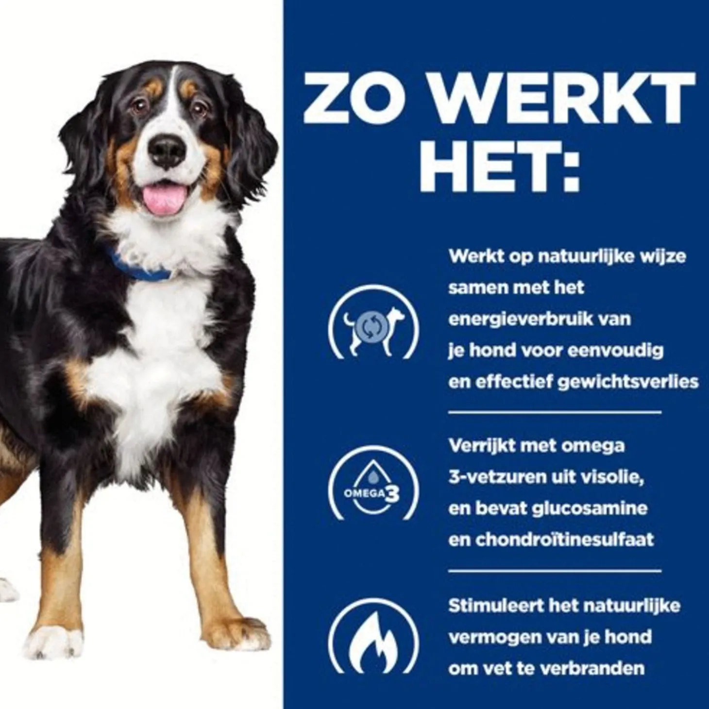 Hill's Prescription Diet J/D Metabolic + Mobility Weight Management Zak - Hondenvoer - Kip 1.5 kg