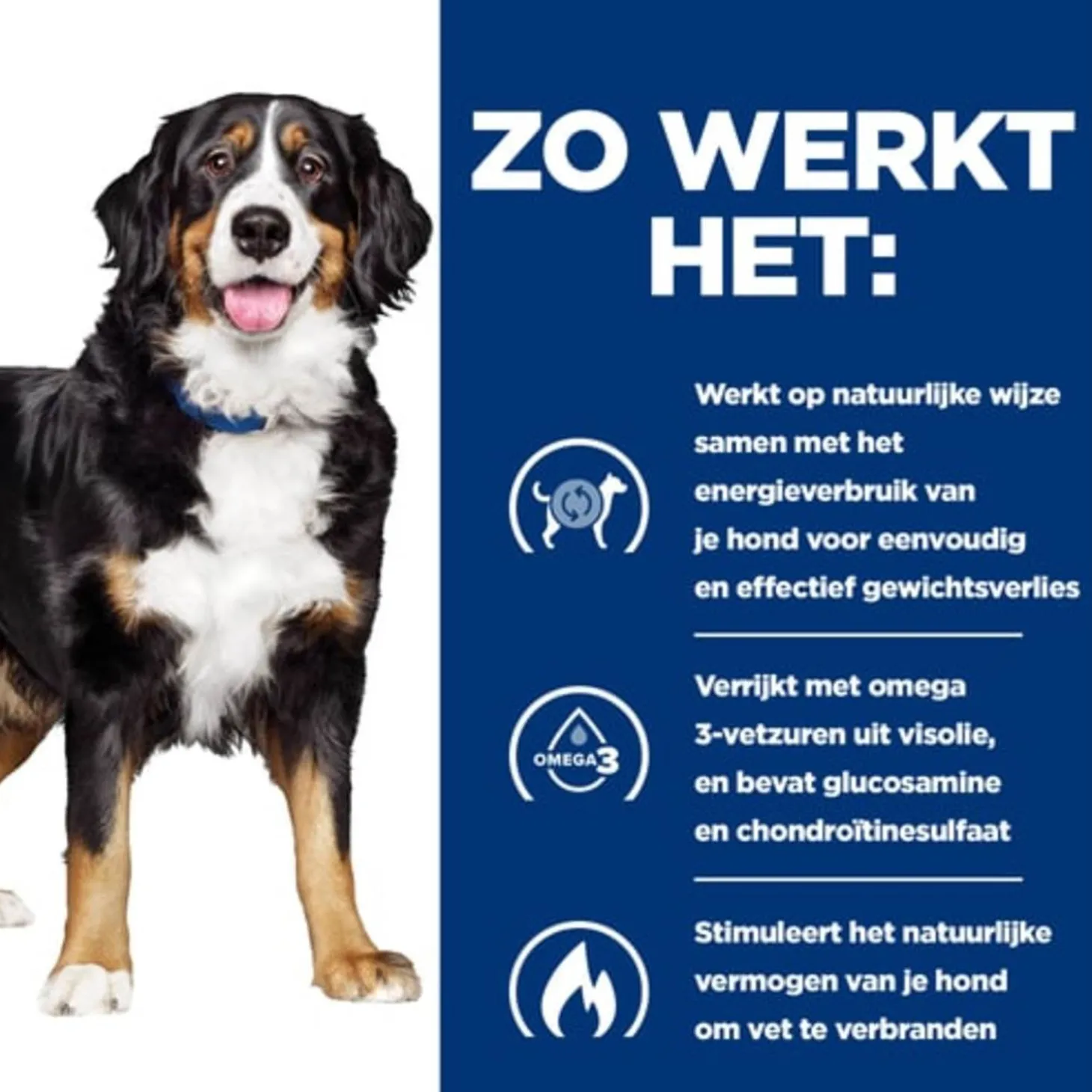 Hill's Prescription Diet J/D Metabolic + Mobility Weight Management Zak - Hondenvoer - Kip 1.5 kg