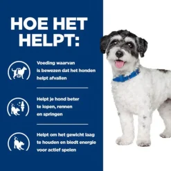 Hill's Prescription Diet J/D Metabolic + Mobility Mini Weight Management Zak Kip - Hondenvoer