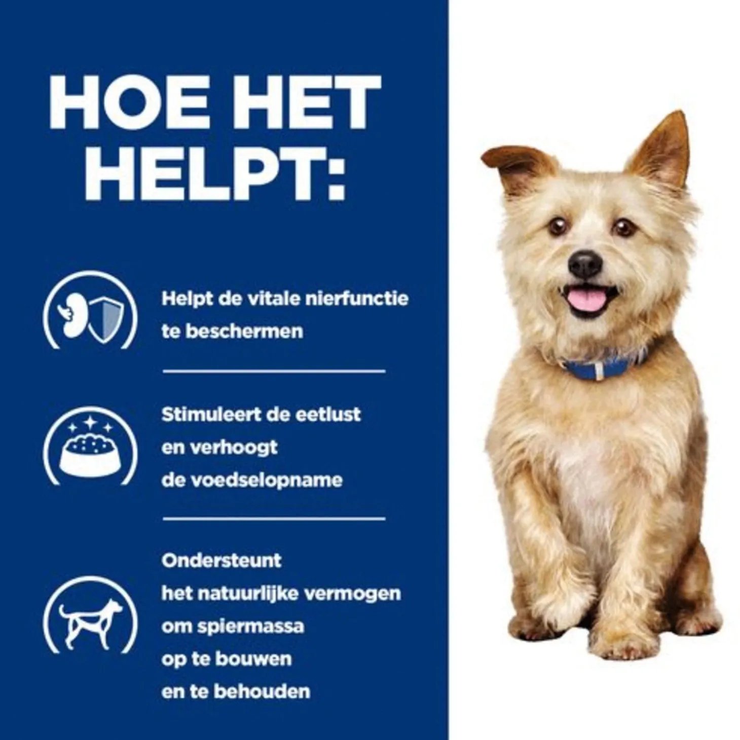 Hill's Prescription Diet K/D Kidney Care Blik - Hondenvoer - Kip Groente 354 g